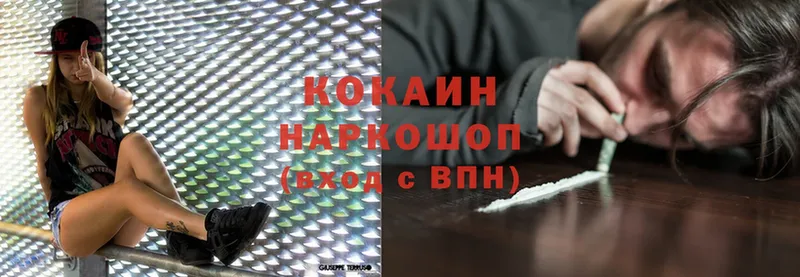 как найти наркотики  Слюдянка  Cocaine FishScale 